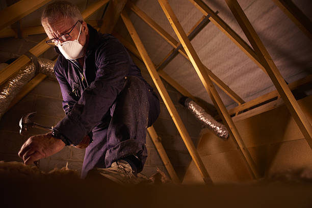 Best Cellulose Insulation in Middle Island, NY